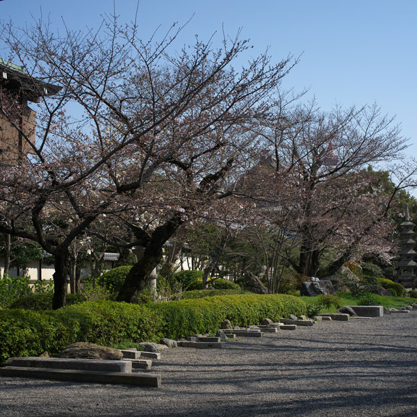 d0342652_13584276.jpg