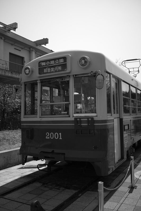 d0342652_17292022.jpg