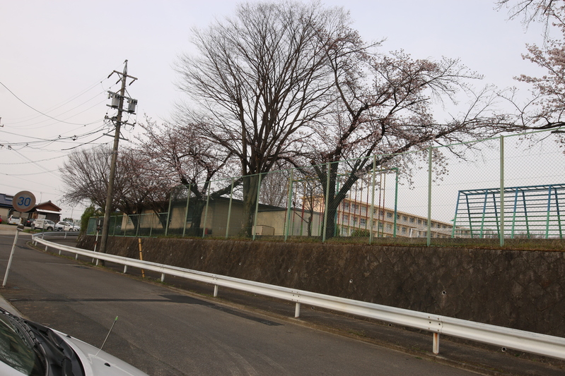 c0074553_2293864.jpg