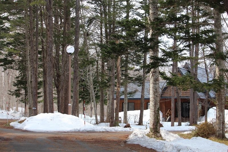 b0250154_20422846.jpg