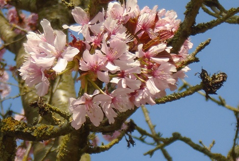 e0010856_8113358.jpg