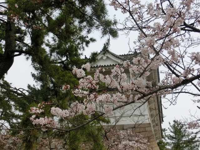 c0328559_20305329.jpg