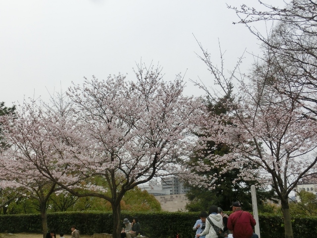 c0328559_20313101.jpg