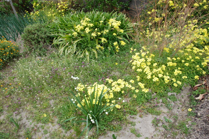 c0108460_22205260.jpg