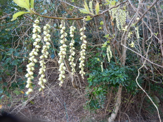 f0060461_09585752.jpg