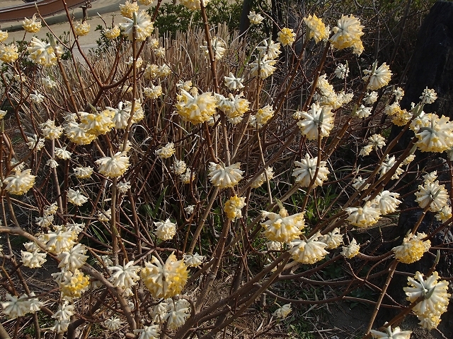 b0044663_23592813.jpg