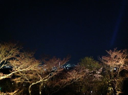 b0153663_18455212.jpeg