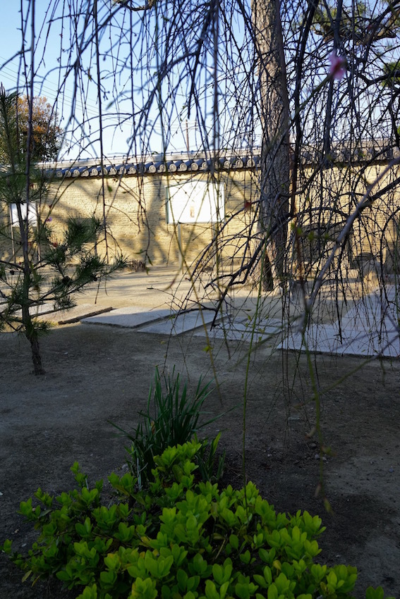 f0134963_16425609.jpg