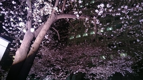 c0100865_22312659.jpg