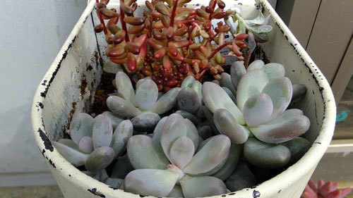 f0260167_23052010.jpg