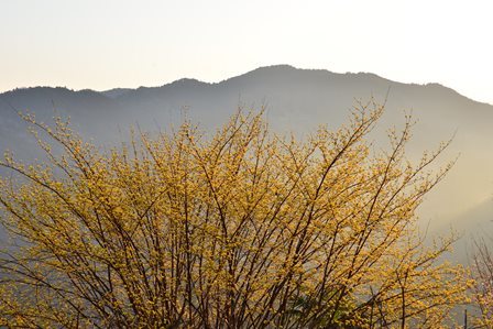 c0303868_04324764.jpg