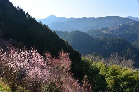 c0303868_04371876.jpg