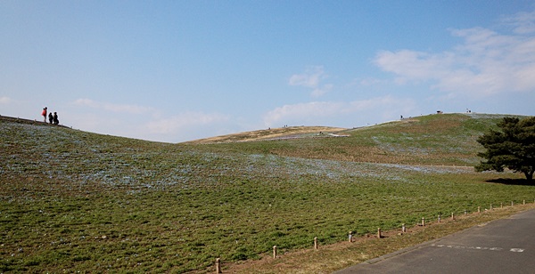 b0140270_5491312.jpg