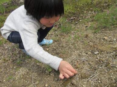 e0240973_17412645.jpg