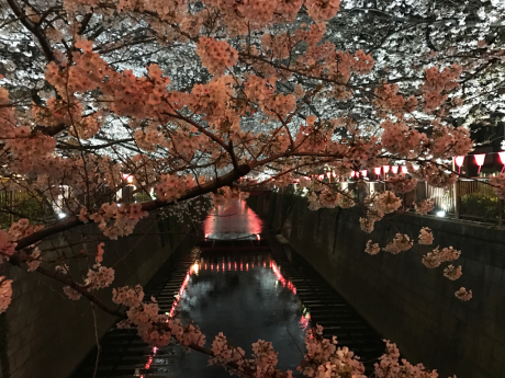 c0206177_08251346.jpg