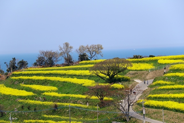 d0126577_21245469.jpg