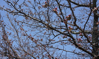 c0163878_9314110.jpg