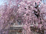 f0222378_16303640.jpg