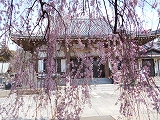 f0222378_16312250.jpg