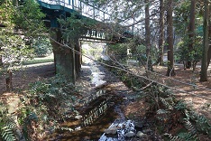 d0183387_20192390.jpg