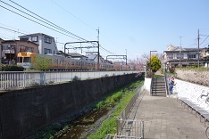 d0183387_20350516.jpg