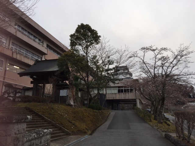 c0064389_17593375.jpg