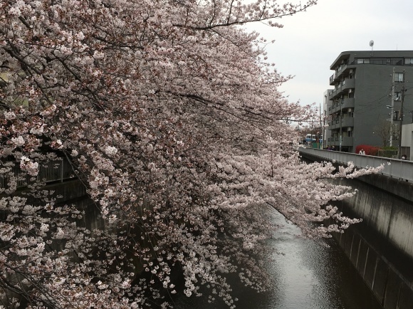 c0123890_19122915.jpg