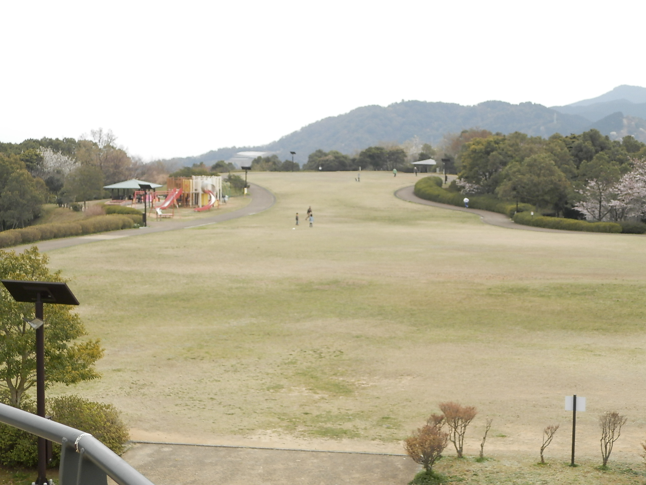 f0181793_13314219.jpg