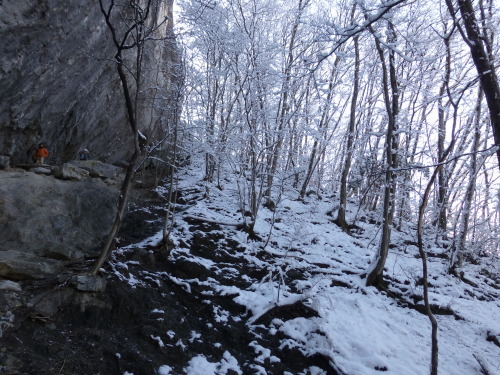 b0146794_22522851.jpg