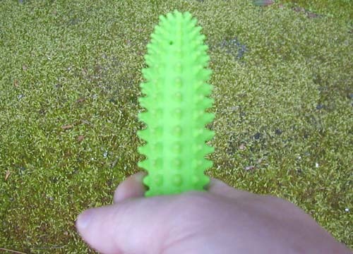 d0053294_23185091.jpg