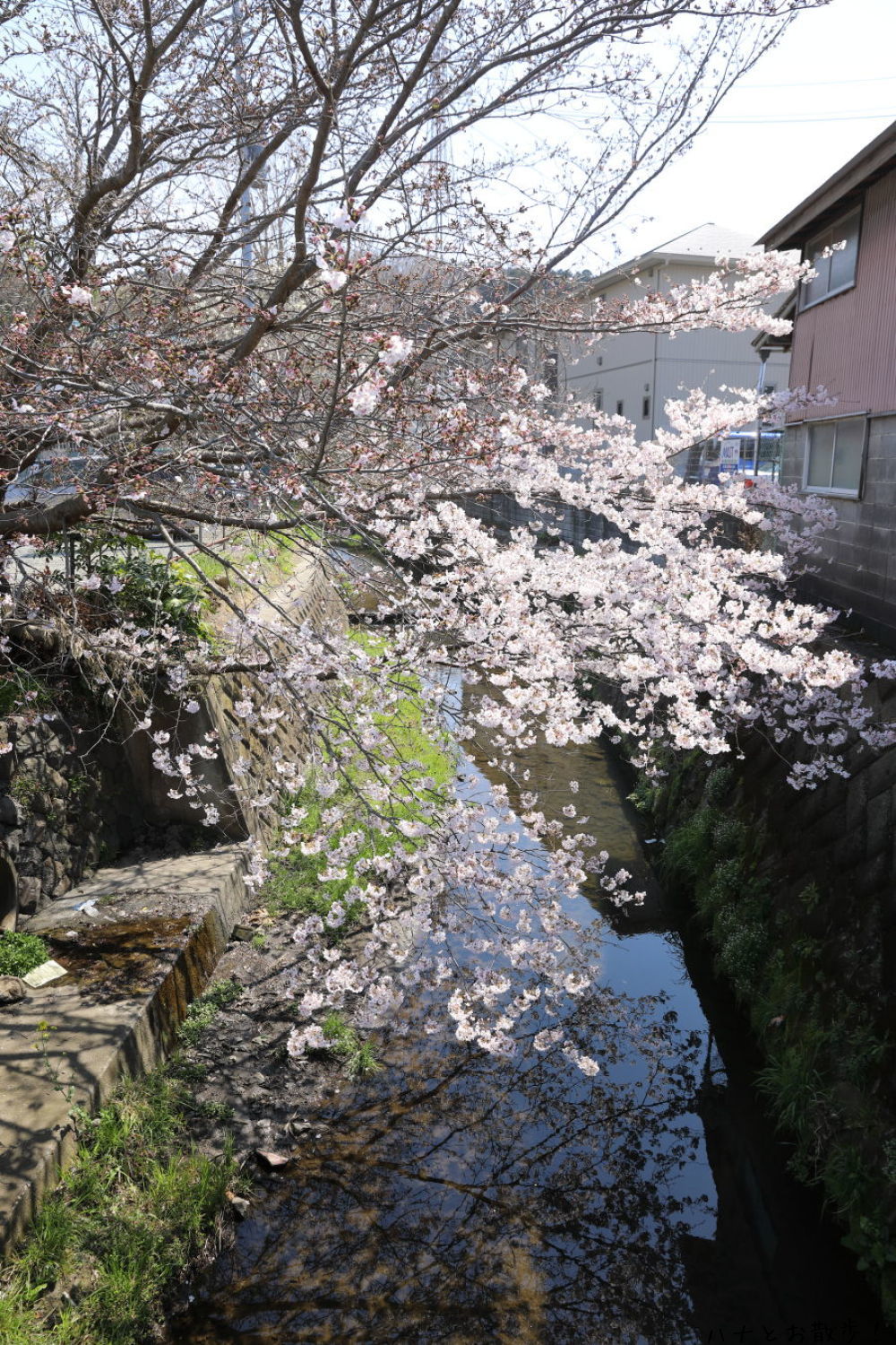 b0275998_11194162.jpg