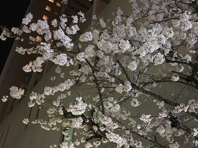f0372998_21554599.jpg