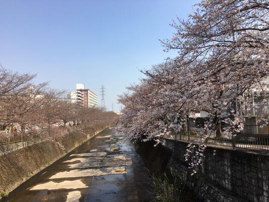 b0160300_00190934.jpg