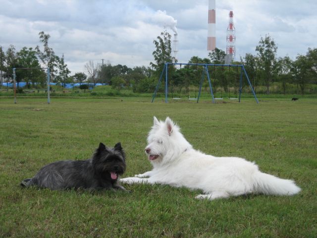 d0009101_15363271.jpg