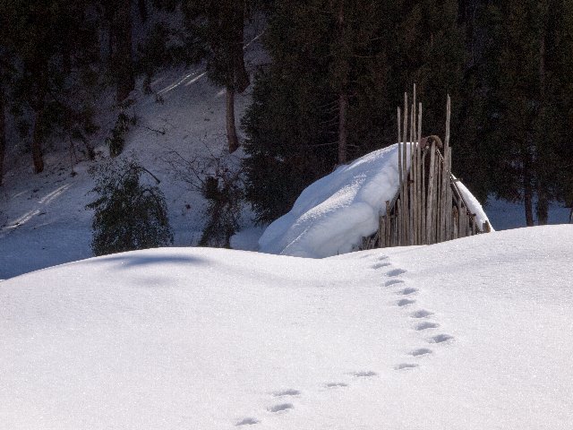c0008502_16185959.jpg