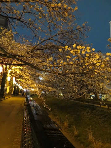 c0212604_6114589.jpg