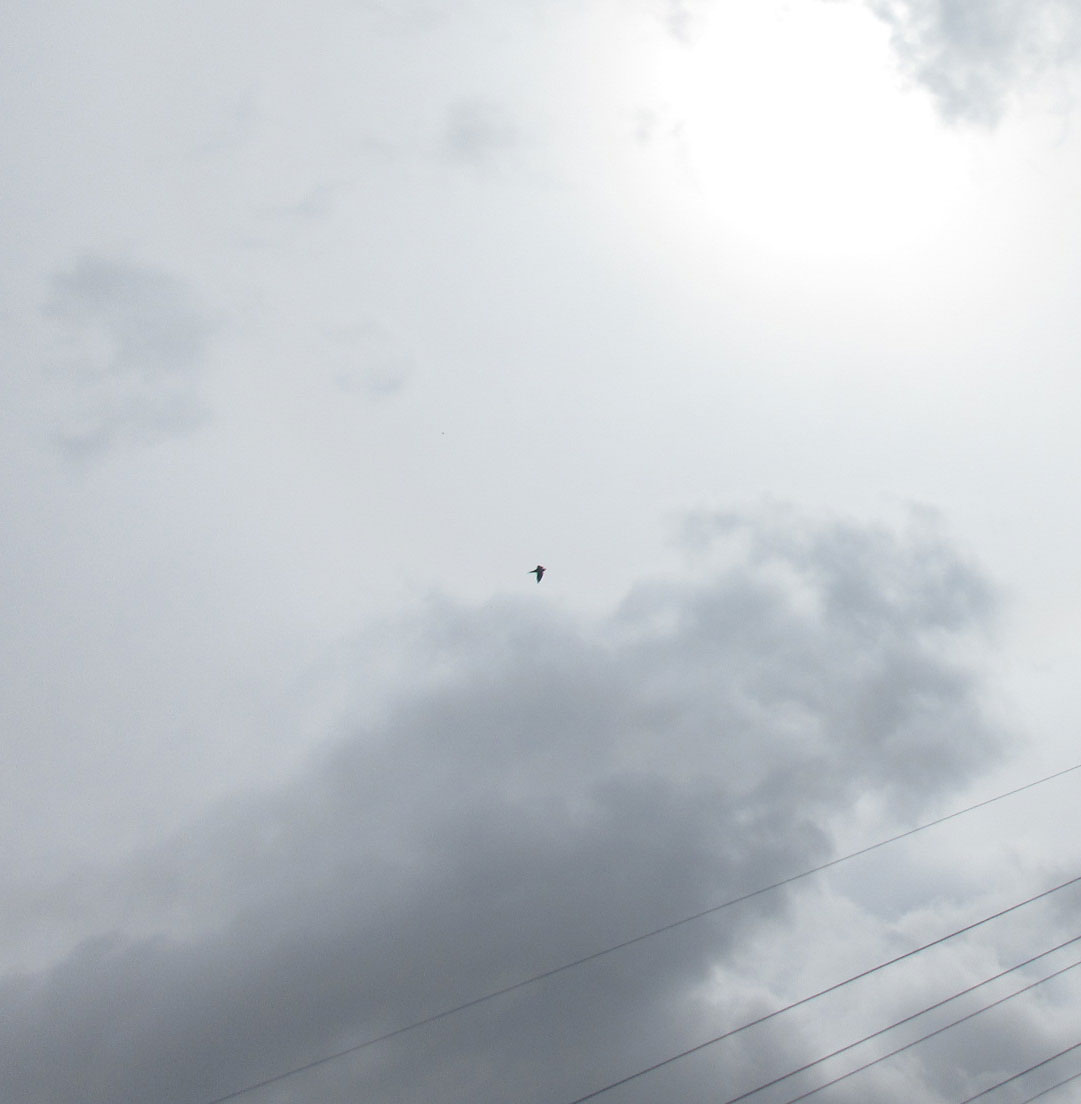 c0085508_2315364.jpg