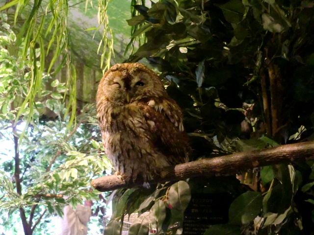 c0336408_16084947.jpg