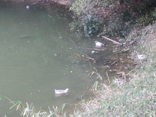 f0231709_0305350.jpg