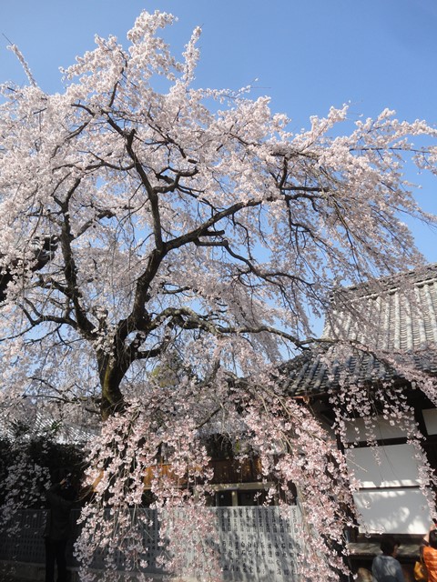 f0231709_0464920.jpg