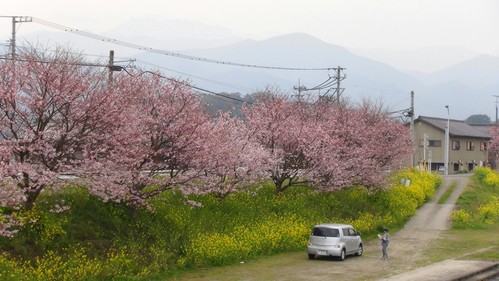 f0231709_10152936.jpg