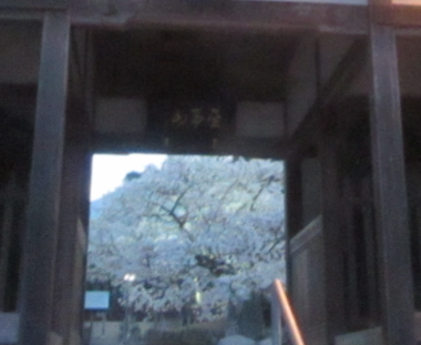 f0231709_17171332.png