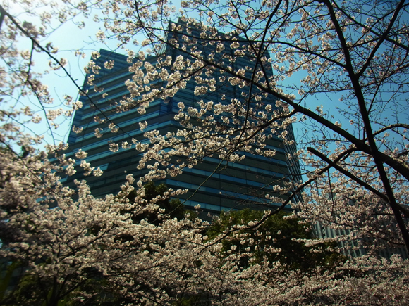 e0083517_01033020.jpg