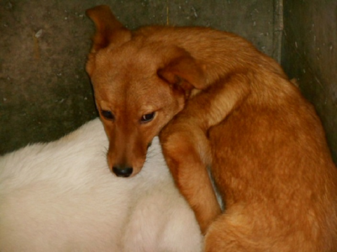 f0078320_16580738.png