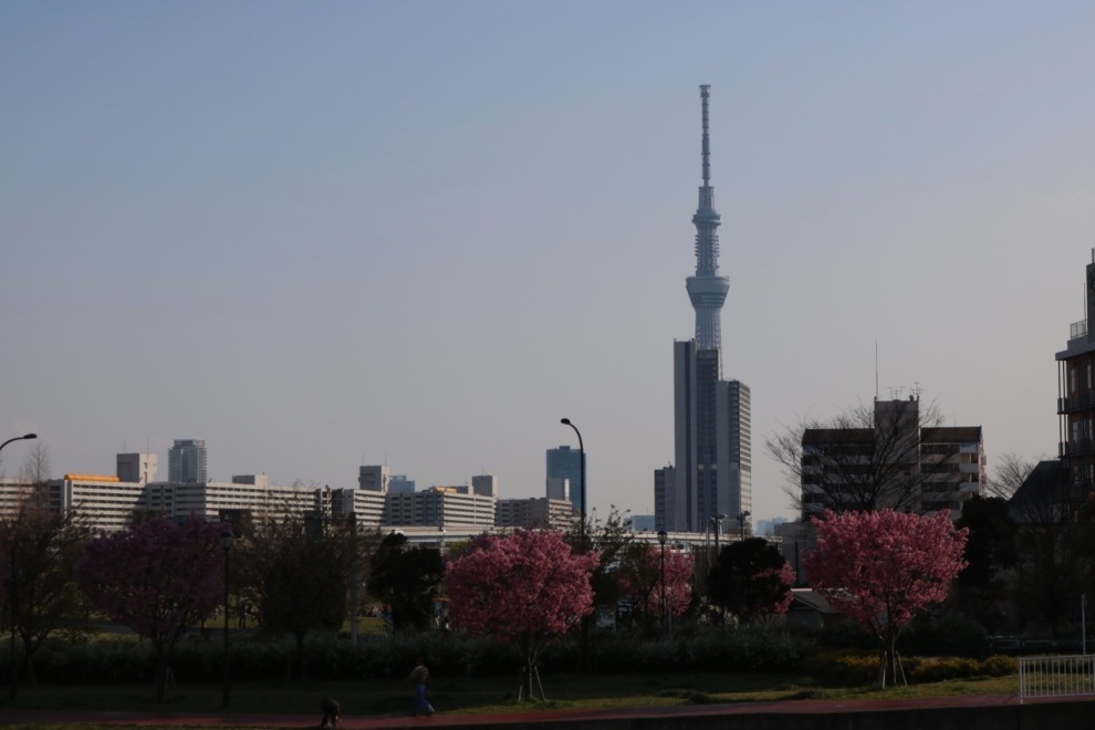 f0293522_18374980.jpg