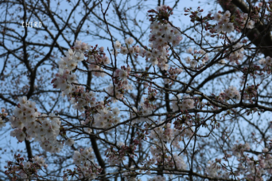 f0293522_18390196.jpg