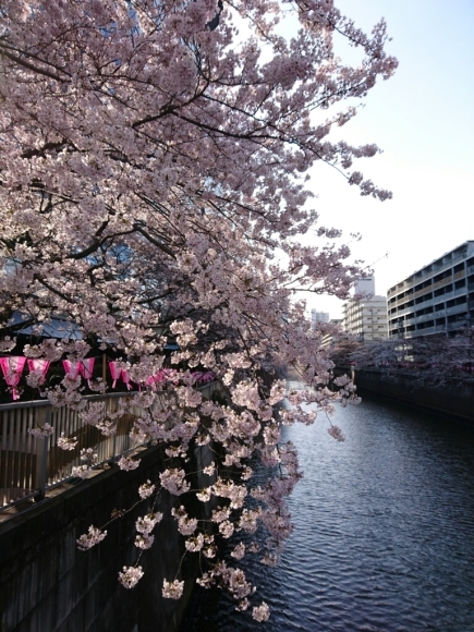 b0312126_23133242.jpg