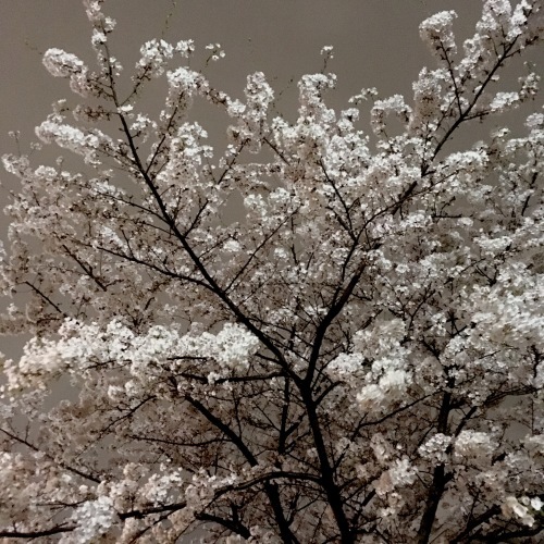 c0121628_21244970.jpg