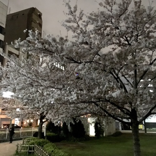 c0121628_21254387.jpg