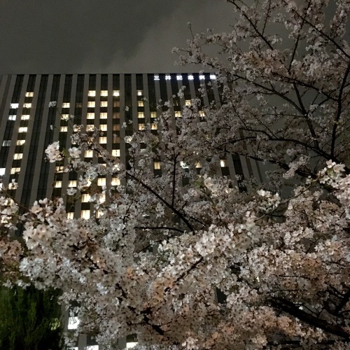 c0121628_21262626.jpg